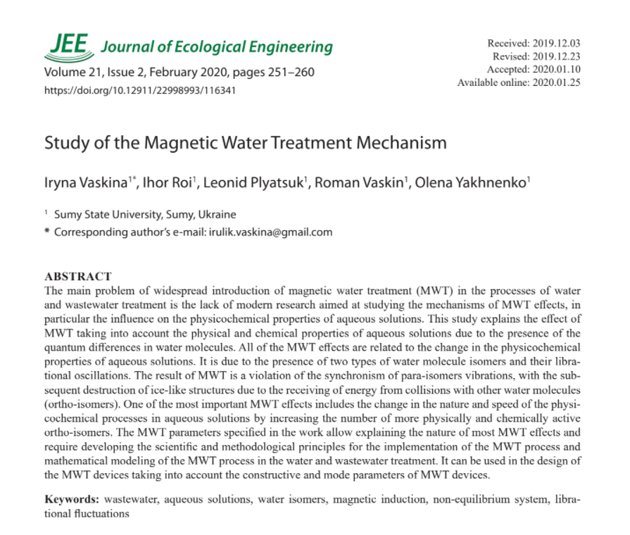 Study of the Magnetic Water Treatment Mechanism